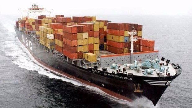 What kind of cargo can choose to transport by ocean freight?